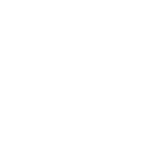 berlin science week logo